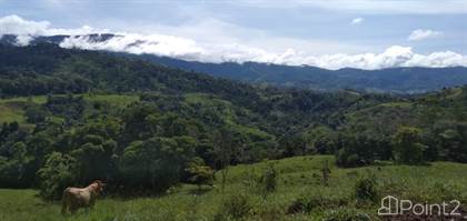 129 ACRES – Beautiful Farm With Rivers and Waterfalls And Tons Of Usable land!!!!!, Platanillo, Puntarenas