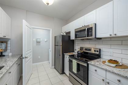 Apartment for rent in 1502 Marsh Cove Ct, Brandon, FL, 33619