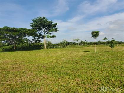Lots And Land for sale in Large 1 Acre Lots near Spanish Lookout, Spanish Lookout, Cayo