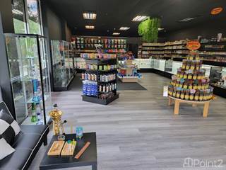Other Real Estate for sale in Turn Key Smoke Shop on Busy Hwy, Pasco County Tampa, Florida, Jay B. Starkey, FL, 34655
