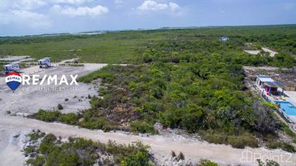 Investment Lot in Palmaya Woods, Ambergris Caye, Belize