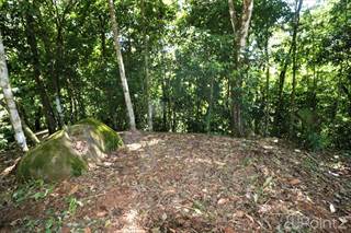 12.92 acres bordered by a river with private waterfall. Easy access location., Ojochal, Puntarenas