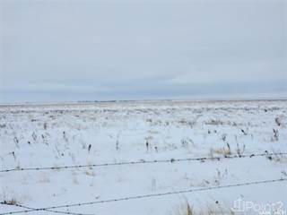 Avonlea 800 Acres Hay & Pasture, Bratt's Lake Rm No. 129, Saskatchewan