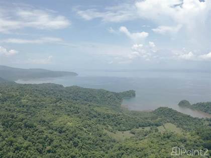 Picture of Uncover The Enchantment of Sprawling 71-acre Property, Puerto Jimenez, Puntarenas