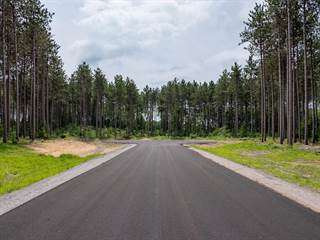 Lot 2 TWO SISTERS COURT, Stevens Point, WI, 54482