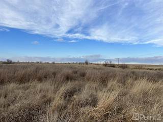 100 acres County Road D, Lakeview, TX, 79239