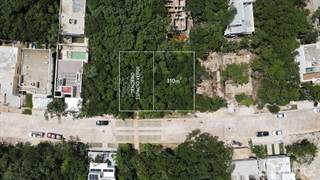 Lots And Land for sale in FIRST-RATE URBAN PLANNING LAND IN PLAYA DEL CARMEN, Solidaridad, Quintana Roo