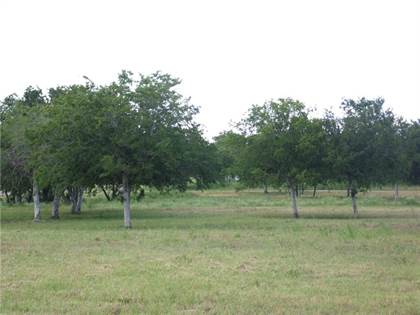 Picture of 21088 Donegal Rd, Mathis, TX, 78368