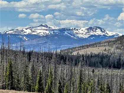 0 F.S. Rd 610, Creede, CO, 81130