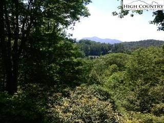 T-3 White Pine Drive Extension, Blowing Rock, NC, 28605