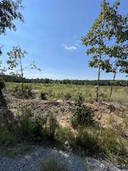 Lot 29 Timber Point, Phase 2, Bauxite, AR, 72011