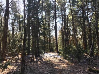 Lots And Land for sale in 00 White Hill Rd, Hopkinton, NY, 13672