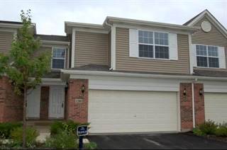 Where can you find houses for rent in Elgin, Illinois?