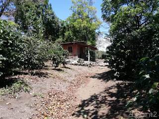 Coffee Farm in Production 31 Ha, Volcancito SSS2469, Boquete, Chiriquí