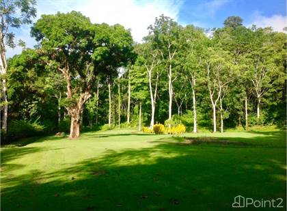 Lots And Land for sale in 67 Acres Jungle, Beachfront Land Golfito, Manuel Antonio, Puntarenas
