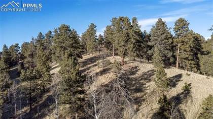 Picture of 549 Spring Valley Lane, Florissant, CO, 80816