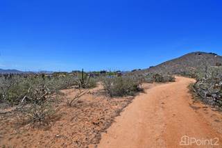 Desert Dream Lot, El Pescadero, Baja California Sur