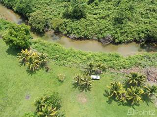 21 Acres On The Belize River, Cayo, Belize