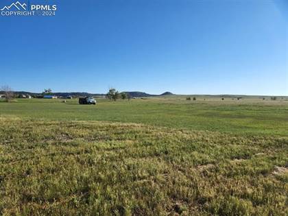 Picture of 15915 Willie Lane, Black Forest - Peyton CCD, CO, 80831