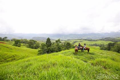 211 ACRES - Gently Rolling Hills On This Mountain View Acreage WCreek Crossing Through The Property!, Platanillo, Puntarenas