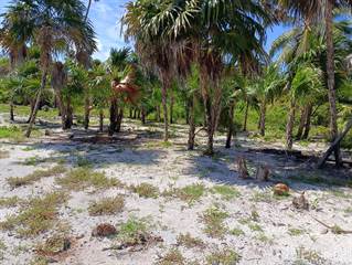 Lots And Land for sale in Incredible beachfront lot in Mahahual! ALL PAPERS IN RULE!, Mahahual, Quintana Roo