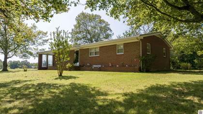 Picture of 1365 Independence Road, Dexter, KY, 42036
