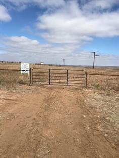 Picture of 60 Acres FM HWY 273, McLean, TX, 79057