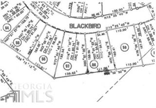 0 Blackbird Circle, Monticello, GA, 31064
