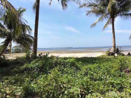 beach lot located in malinao
