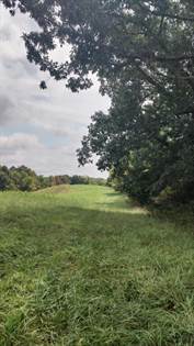 Picture of 00 Bald Hill Road, Carlisle, KY, 40311