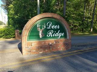 Lot 3E Deer Ridge Place, Gray, GA, 31032