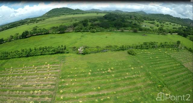 73 hectare farm     Guanacaste, Costa Rica