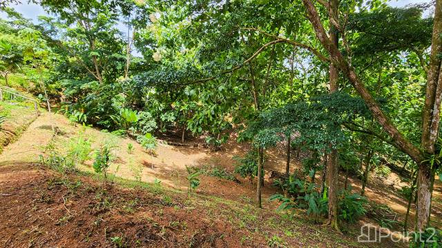 Single Level Home in Platanillo with Creek and Mountain Views, Puntarenas - photo 64 of 75