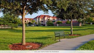 Houses Apartments For Rent In Bradenton Fl From 50