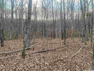 Land For Sale In Clinton Arkansas - 185 Highway 65 S Clinton Ar 72031 Land Property For Sale On Showcase Com - Land for sale, land auctions, land leases