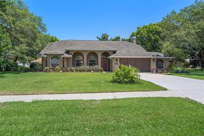 Picture of 12313 KNOTTY PINE COURT, Spring Hill, FL, 34609