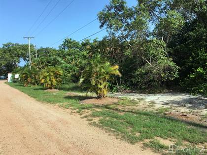 5,000 Acres Land Close To The Airport Rancho Dolores, Belize District ...