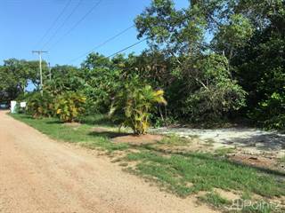 4000 Acres Land close to the airport Rancho Dolores, Belize District, Belmopan, Cayo